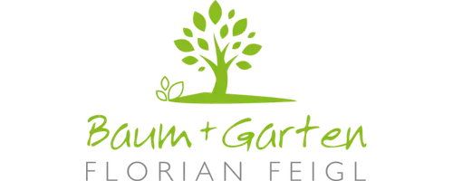 florianfeigl_logo